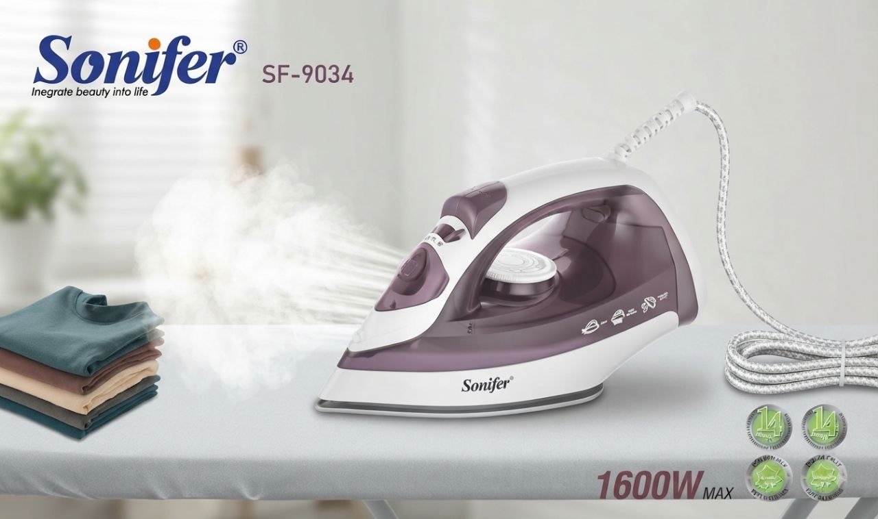 Electric Steam iron 2